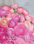 Ranuculus