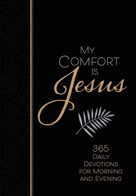 Ray Comfort - My Comfort Is Jesus, E-bok