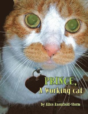 Prince, A Working cat