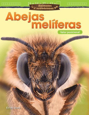 Kristy Stark - Animales Asombrosos: Abejas Melíferas: Valor Posicional, Häftad
