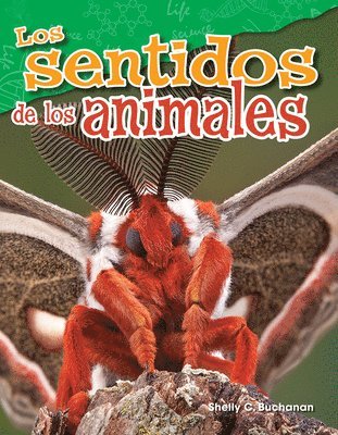 Shelly Buchanan - Los Sentidos de Los Animales, Häftad