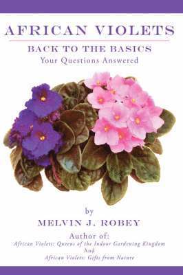 African Violets Back to the Basics