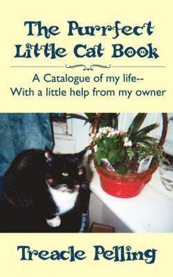 Purrfect Little Cat Book