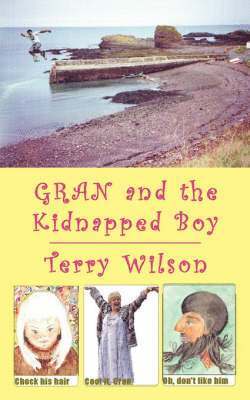 Terry, Wilson - Gran and the Kidnapped Boy, Häftad