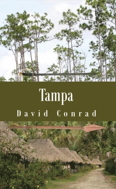 David Conrad - Tampa, E-bok