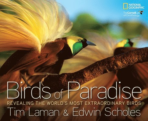 Tim Laman, Edwin Scholes - Birds of Paradise, Inbunden