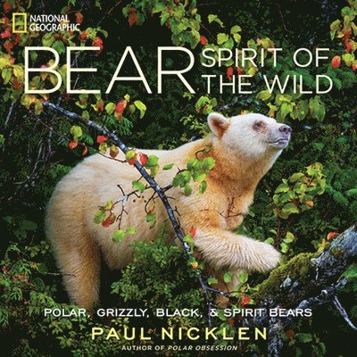 Paul Nicklen - Bear, Inbunden. Tillgänglighet: Tillfälligt slut