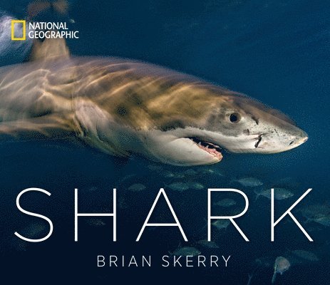 Brian Skerry - Shark, Inbunden
