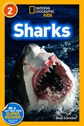 Sharks (National Geographic Kids Readers, Level 2)