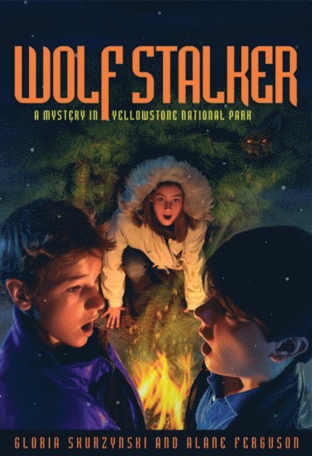 Alane Ferguson, Gloria Skurzynski - Mysteries in Our National Parks: Wolf Stalker, E-bok