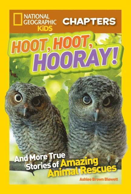 Ashlee Brown Blewett - National Geographic Kids Chapters: Hoot, Hoot, Hooray!, E-bok