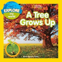 Explore My World: A Tree Grows Up
