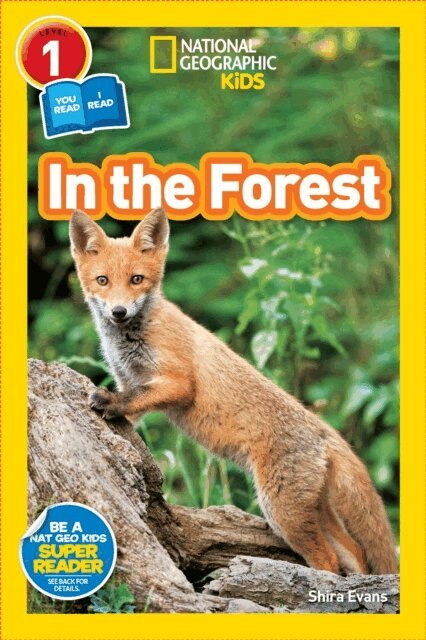 Shira Evans - In the Forest (National Geographic Kids Readers, Level 1/Co-Reader), E-bok