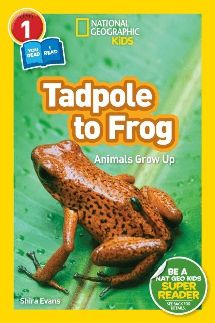 Shira Evans - Tadpole to Frog (National Geographic Kids Readers, Level 1/Co-Reader), E-bok