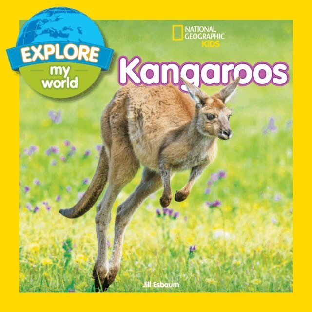 Jill Esbaum - Explore My World: Kangaroos, E-bok