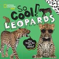 So Cool! Leopards