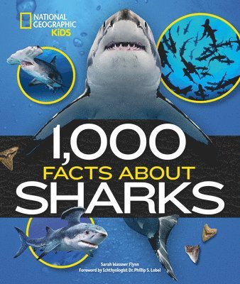 Sarah Wassner Flynn - 1,000 Facts about Sharks, Inbunden