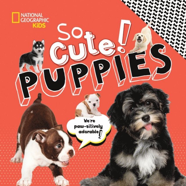 Crispin Boyer - So Cute! Puppies, E-bok