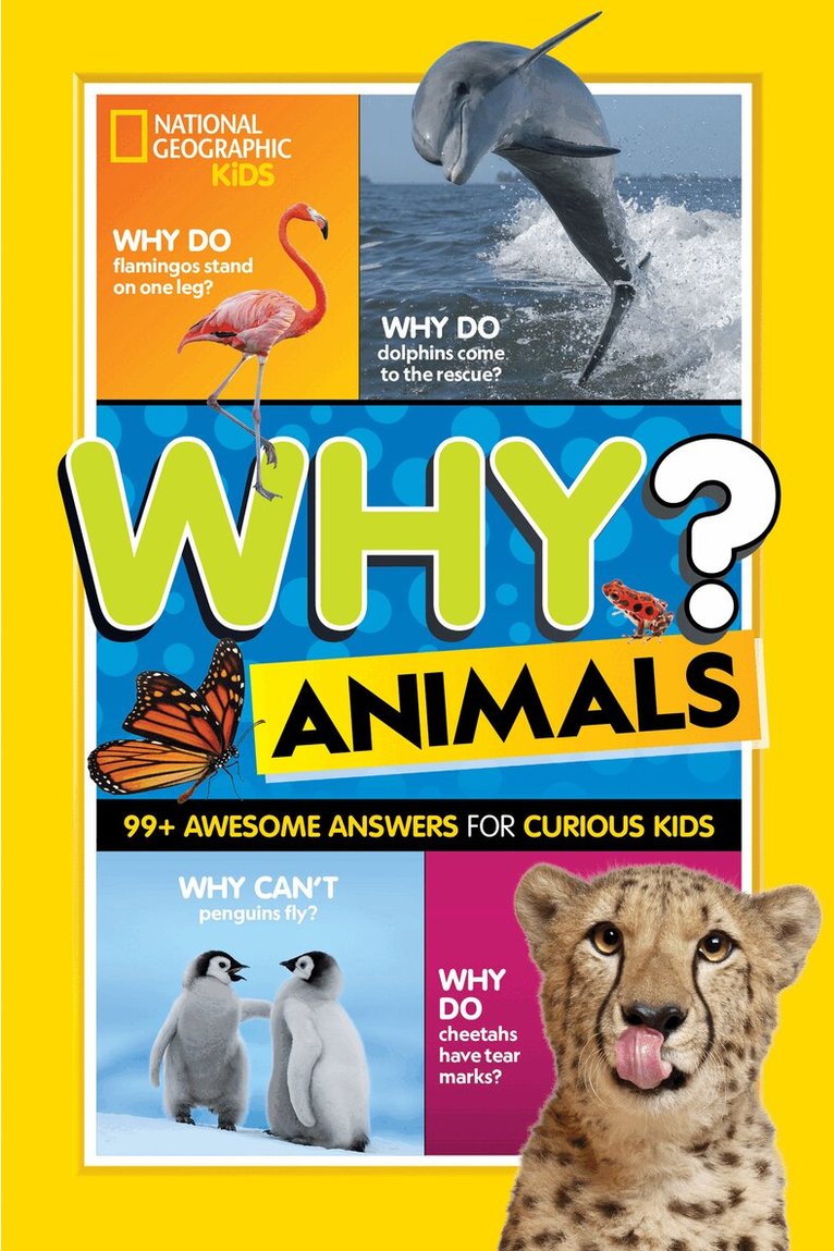 National Geographic Kids - Why? Animals, Häftad. Tillgänglighet: Tillfälligt slut