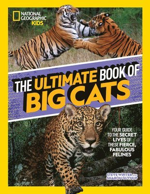 Steve Winter - The Ultimate Book of Big Cats: Your Guide to the Secret Lives of These Fierce, Fabulous Felines, Inbunden
