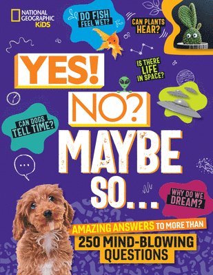 Julie Beer, Paige Towler - Yes! No? Maybe So...: Amazing Answers to More Than 250 Mind-Blowing Questions, Inbunden. Tillgänglighet: Tillfälligt slut