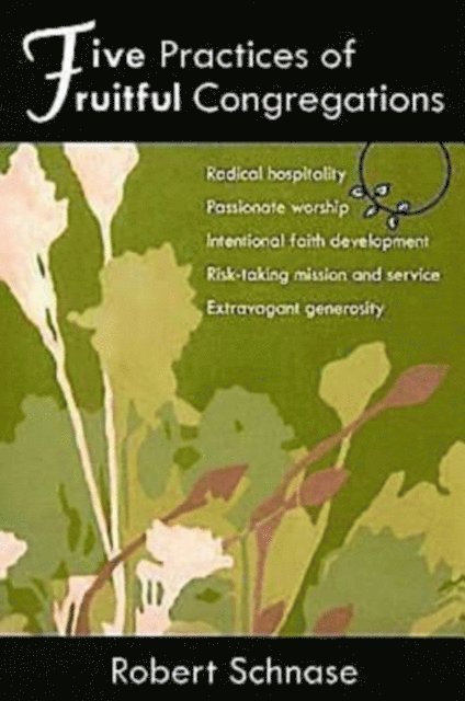 Robert Schnase - Five Practices of Fruitful Congregations, E-bok