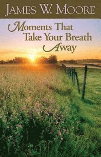 Rev. James W. Moore - Moments That Take Your Breath Away, E-bok