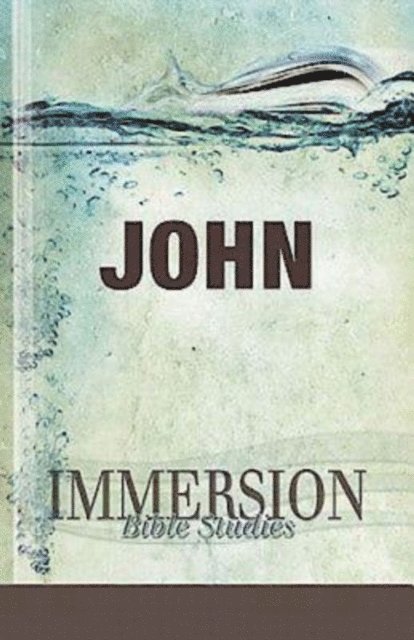 Carol J. Miller - Immersion Bible Studies: John, E-bok