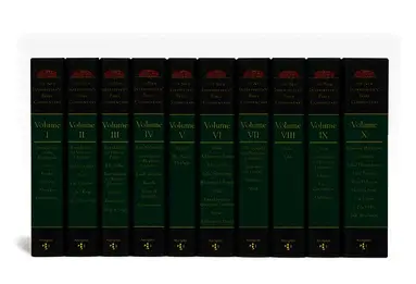 New Interpreter's(r) Bible Commentary Ten Volume Set