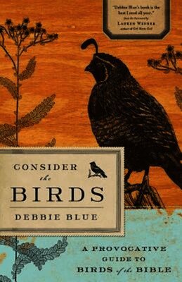 Debbie Blue - Consider the Birds, Häftad