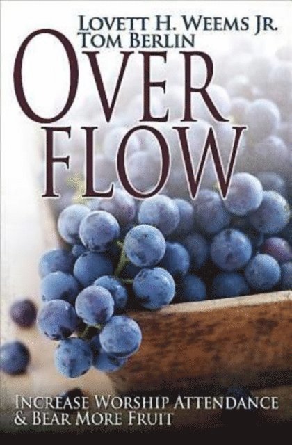 Tom Berlin, Lovett H. Weems JR. - Overflow, E-bok