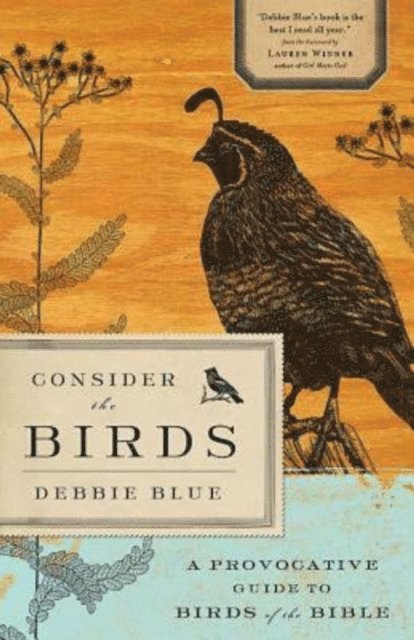 Debbie Blue - Consider the Birds, E-bok
