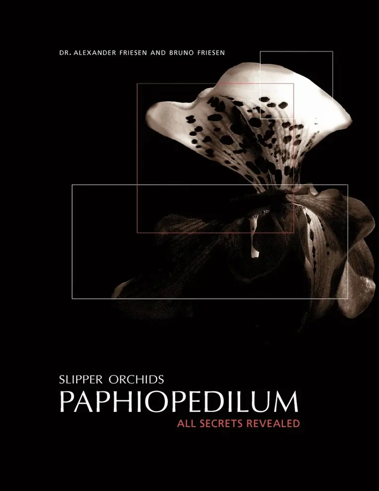 Bruno Friesen - Slipper Orchids, Paphiopedilum, Häftad. Tillgänglighet: Lägg i varukorg