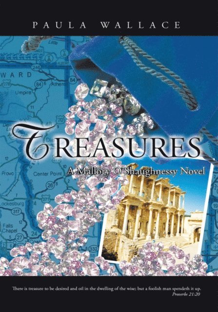 Paula Wallace - Treasures: a Mallory O'Shaughnessy Novel, E-bok