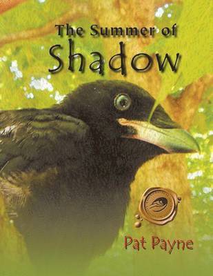 Pat Payne - Summer of Shadow, Häftad. Tillgänglighet: Lägg i varukorg