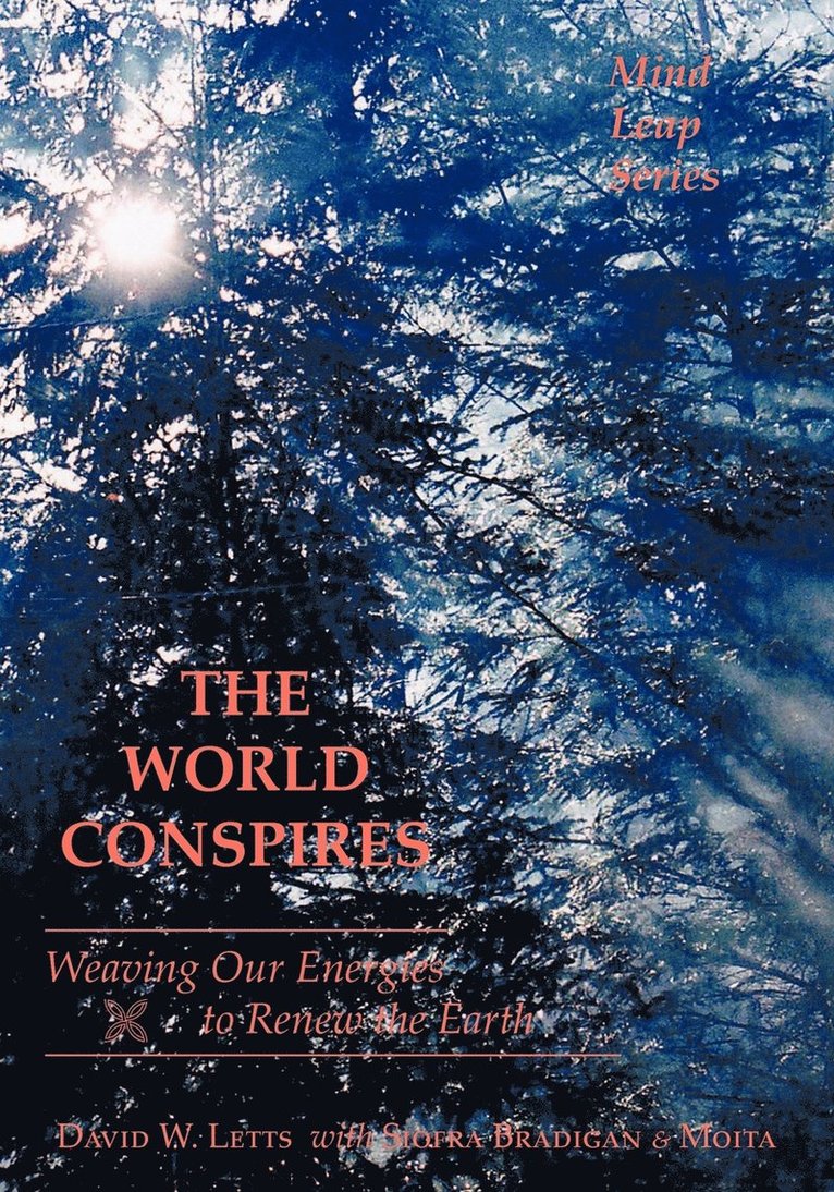 David W. Letts - World Conspires, Häftad. Tillgänglighet: Lägg i varukorg