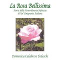 La Rosa Bellissima