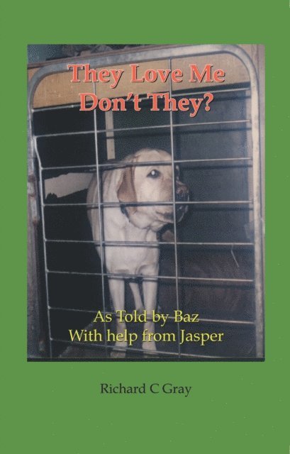 Jasper, Baz - They Love Me Don't They?, E-bok