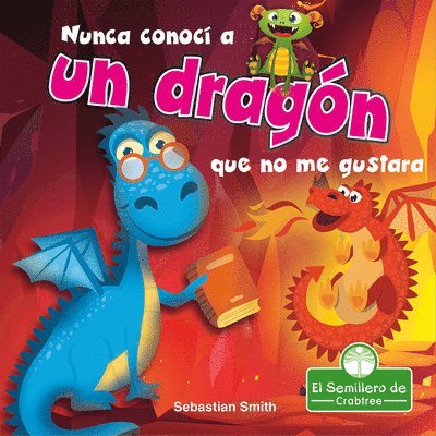 Sebastian Smith - Nunca Conocí a Un Dragón Que No Me Gustara (I've Never Met a Dragon I Didn't Like), Häftad