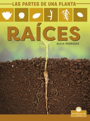 Alicia Rodriguez - Raíces (Roots), Häftad