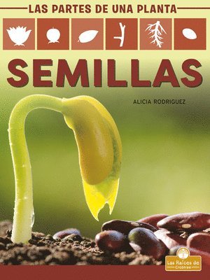Alicia Rodriguez - Semillas (Seeds), Häftad