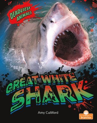 Great White Shark
