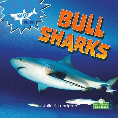 Julie K. Lundgren - Bull Sharks, Inbunden. Tillgänglighet: Lägg i varukorg