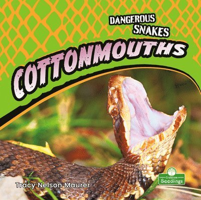 Tracy Nelson Maurer - Cottonmouths, Häftad