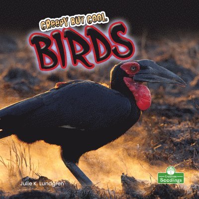 Julie K. Lundgren - Creepy But Cool Birds, Häftad