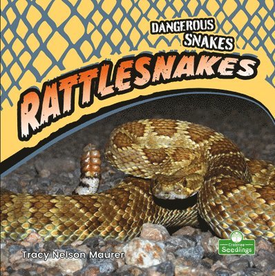 Tracy Nelson Maurer - Rattlesnakes, Inbunden