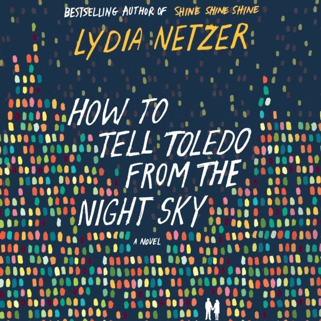 Lydia Netzer - How to Tell Toledo from the Night Sky, Ljudbok