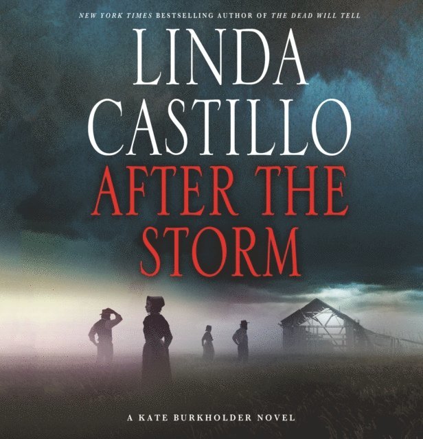 Linda Castillo - After the Storm, Ljudbok