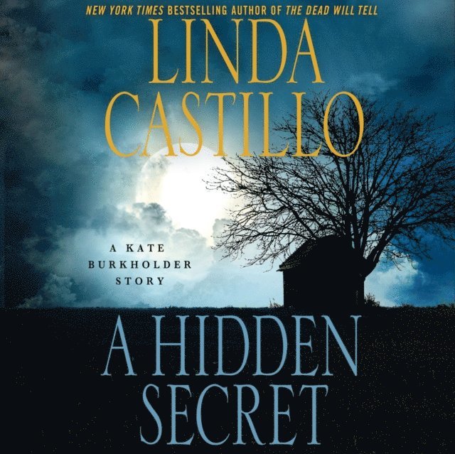 Linda Castillo - Hidden Secret, Ljudbok