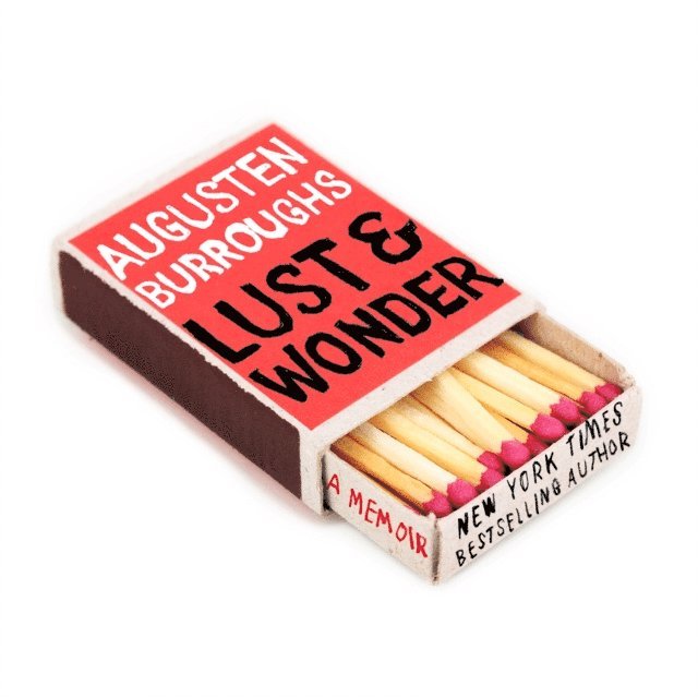 Augusten Burroughs - Lust & Wonder, Ljudbok